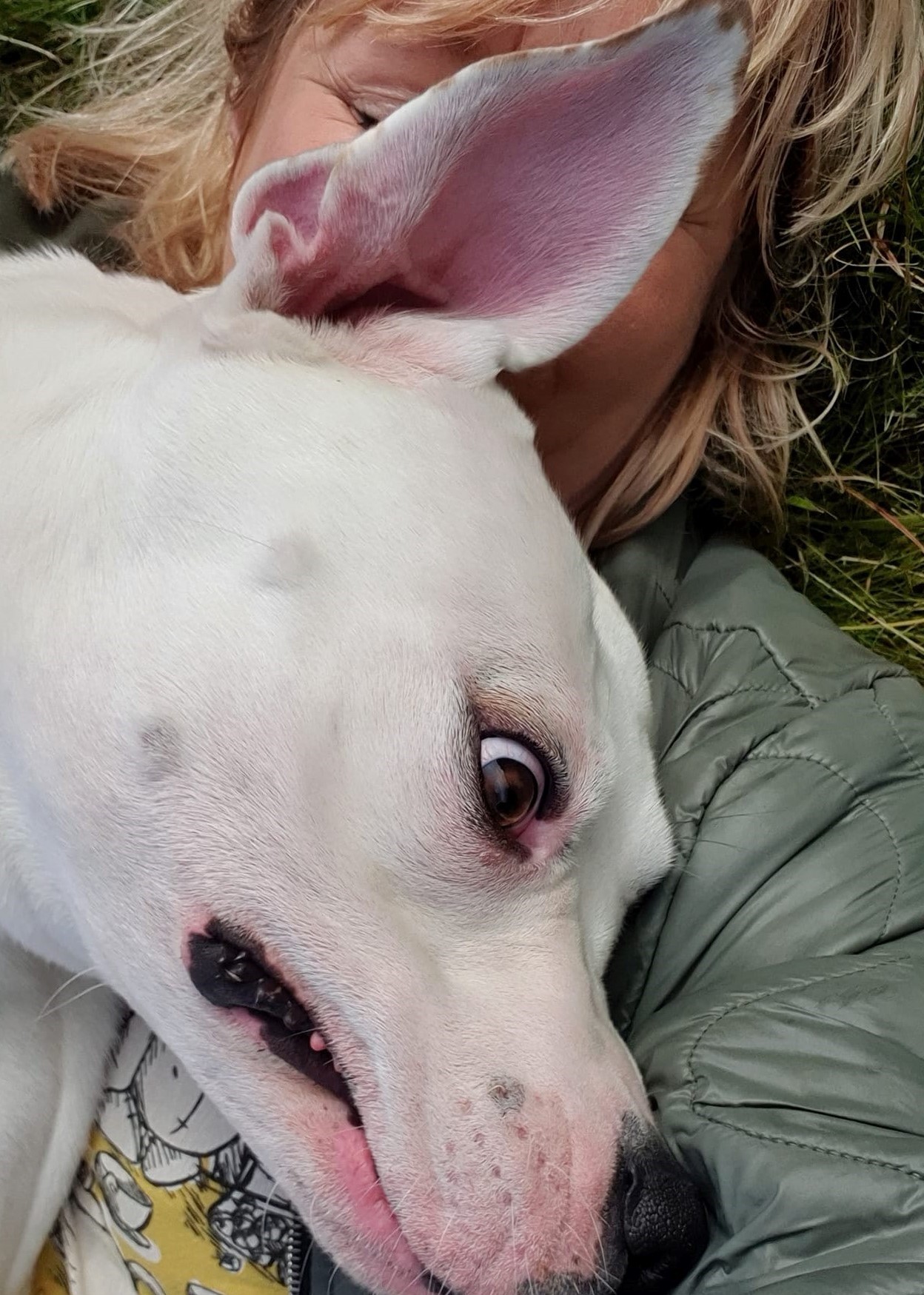 Freya